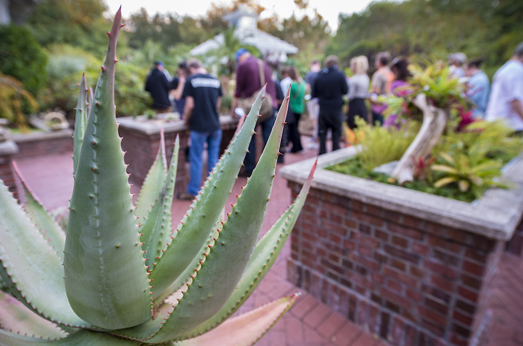 Welcome to Valencia's Greenest Classroom: Leu Gardens - Valencia ...