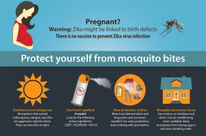 Pregnant? Warning: Zika might be linked to birth defects